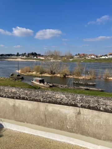 Evasion De Loire Bed and Breakfast Jargeau Buitenkant foto