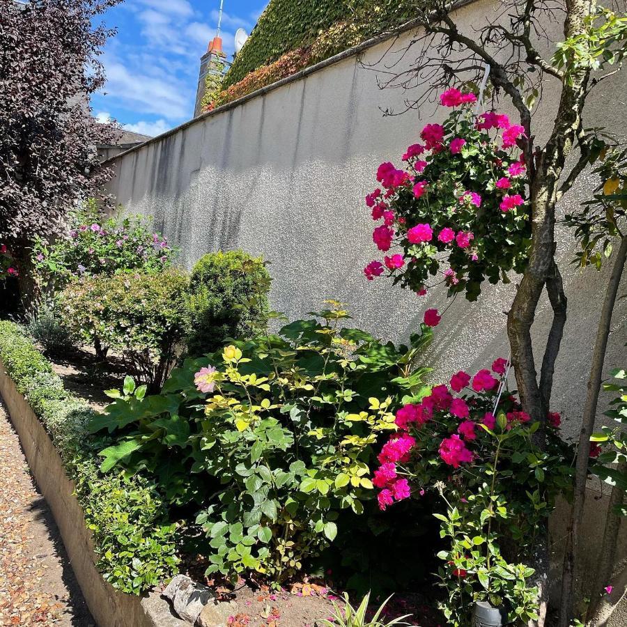 Evasion De Loire Bed and Breakfast Jargeau Buitenkant foto